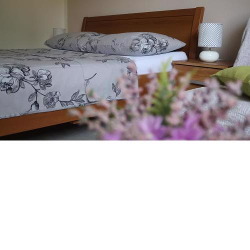 Adria Apartment