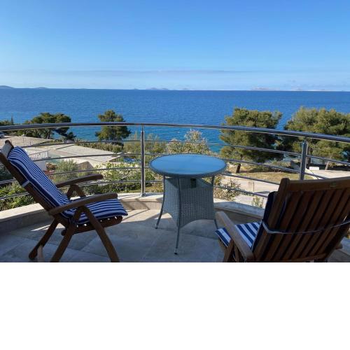 Amazing villa Galeb in Murter
