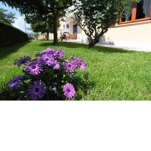 Antares Apartments