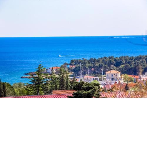 Apartman - The view