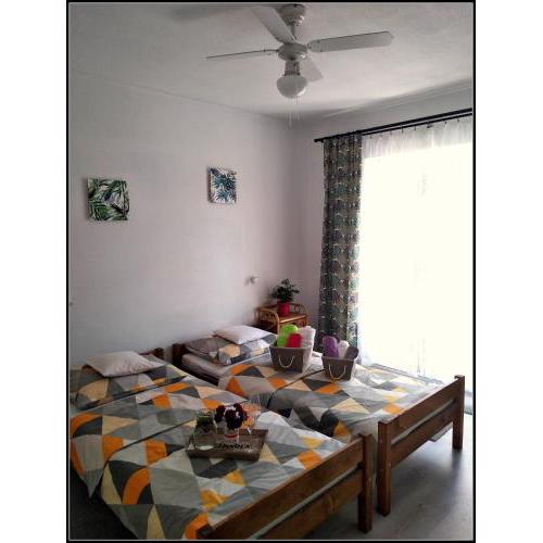 Apartman Antea Hvar