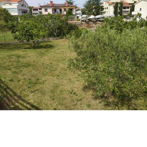 Apartman Avsec