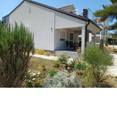 APARTMAN BILI GALEB