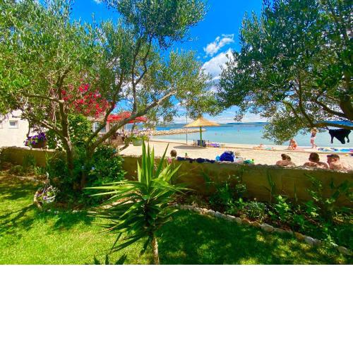 Apartman Branka
