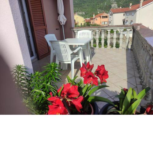 Apartman Budimir1