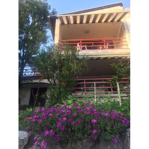 Apartman Cvenkica