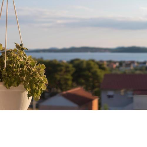 Apartman Dado
