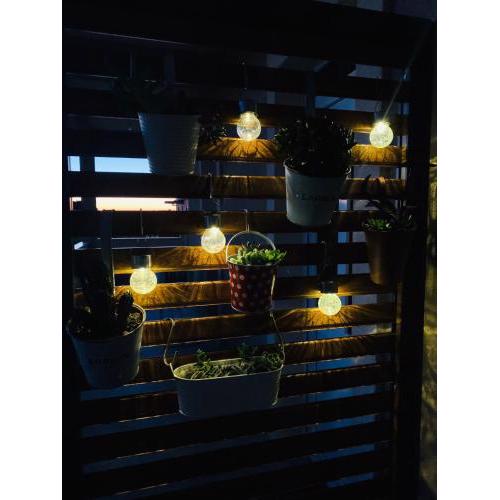 Apartman Filip