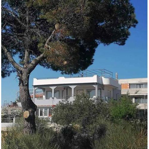 Apartman Grlić family suite Vodice Croatia