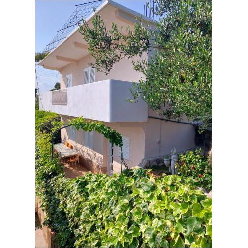 Apartman Igor