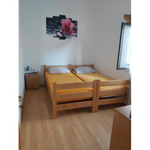 Apartman Janja