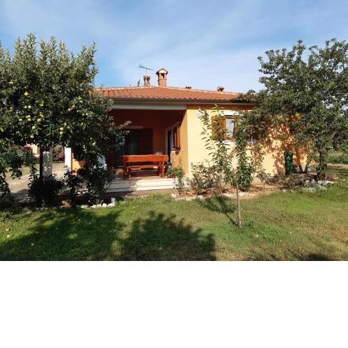 Apartman Lena Umag