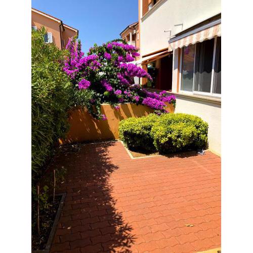 Apartman LOTA