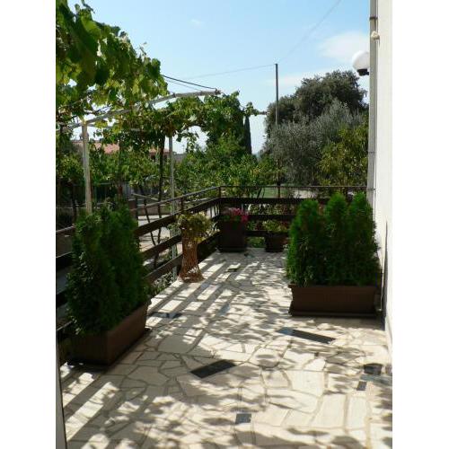 Apartman Mare