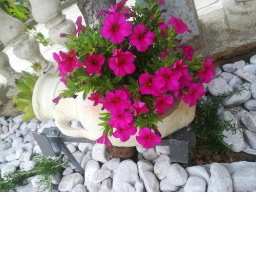 Apartman Pelcic,with WiFi and free parking