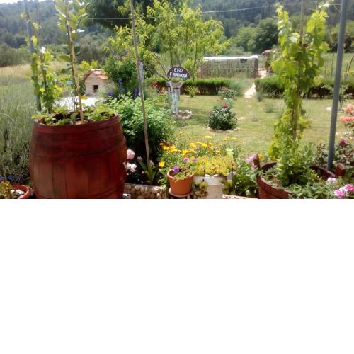 Apartman Rosa