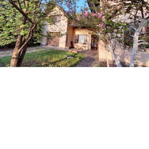 Apartman Silver pine