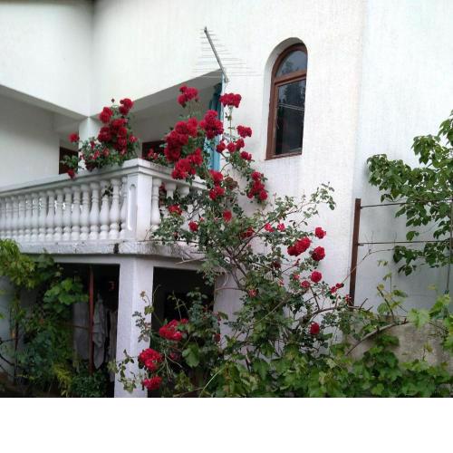 Apartman Sunce