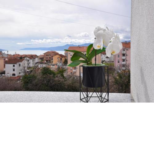 Apartman Totale