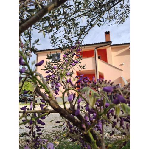 Apartman Tramonto