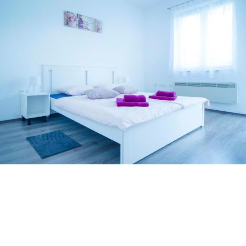 Apartman Višnja