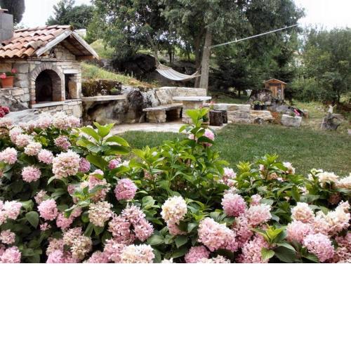 apartman Vojskovic