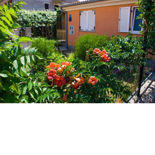 Apartmani Arijana Medulin