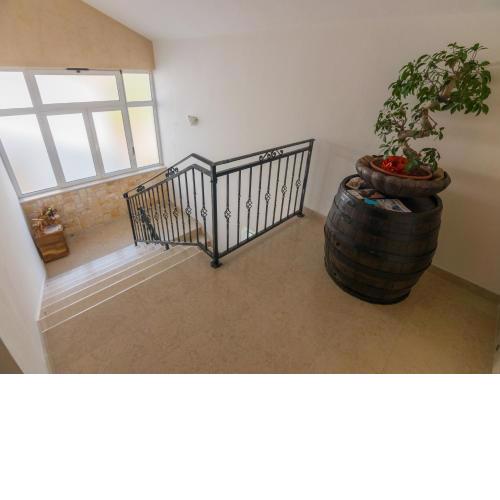 Apartmani Barbara