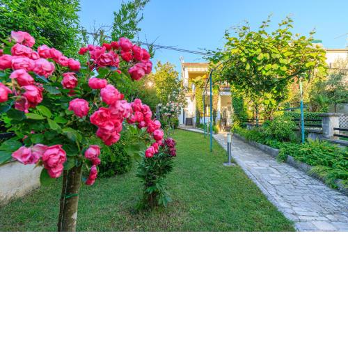 Apartmani Cupar