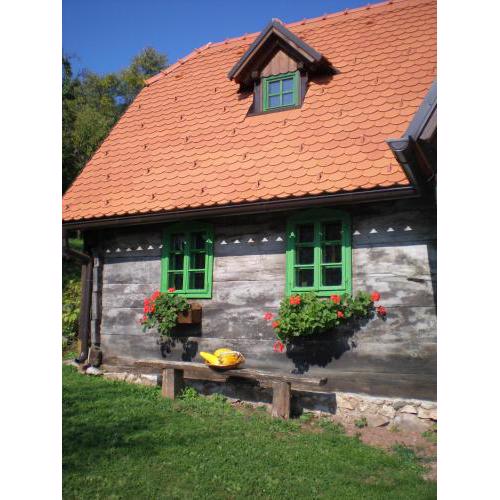 APARTMANI Etno kuća pod Okićem