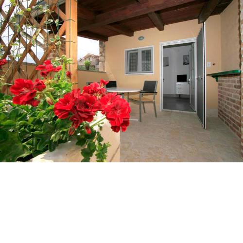 Apartmani Lučica