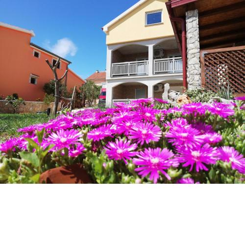 Apartmani Mala Sirena