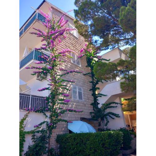 Apartmani Omrčen