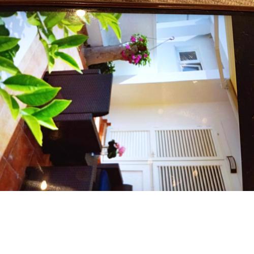 Apartmani Trubi 1