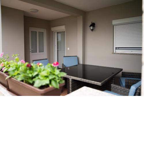 Apartmant Green Treasure