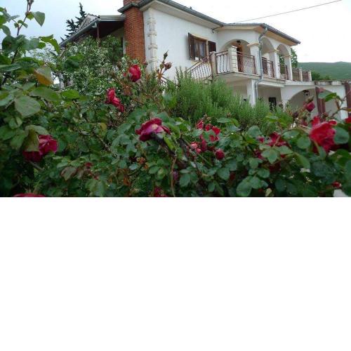 Apartment ''Ane''