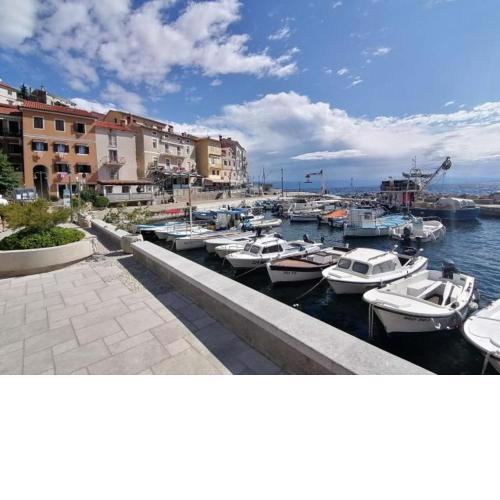 Apartment Antea-Opatija Riviera