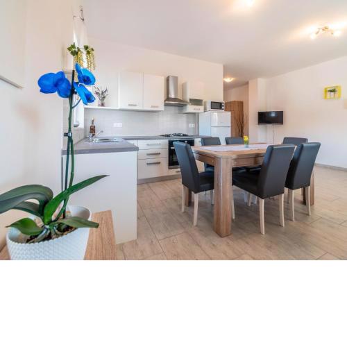Apartment Antonio