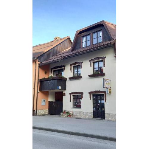 Apartment Apolon planinski