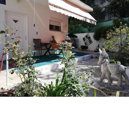 Apartment Barney with garden&terrace