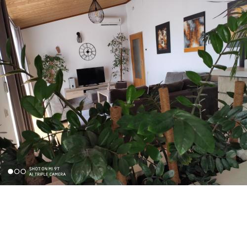 Apartment Burich