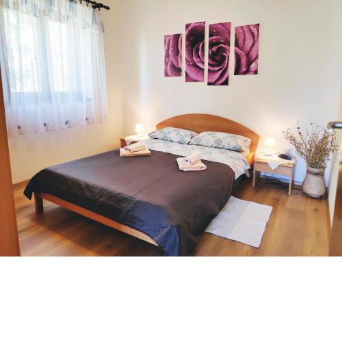 Apartment Carmen