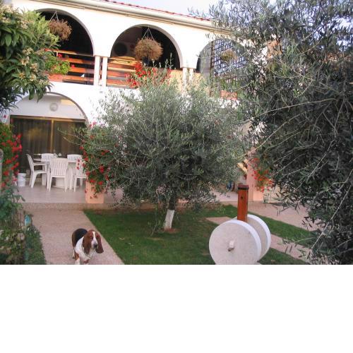 Apartment Dady with a large covered terrace