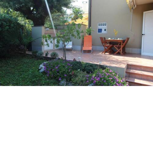 Apartment Dragaš