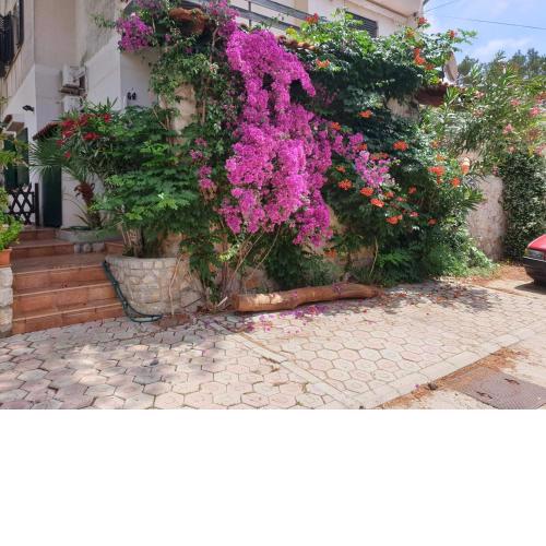 Apartment for max 7 pers in Mali Losinj with terrace, air conditioning, WiFi, washing machine 4913-3