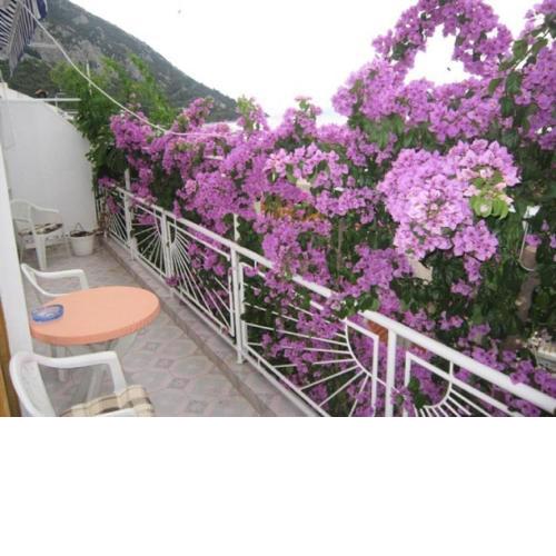 Apartment Graci