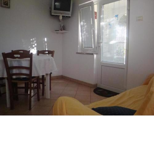 Apartment in Kustici with sea view, terrace, air conditioning, WiFi (3597-5)