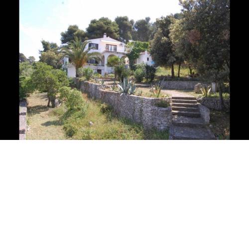 Apartment in Maslinica 70m from the sea