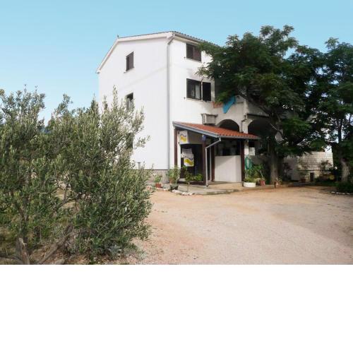 Apartment in Rab/Insel Rab 16249