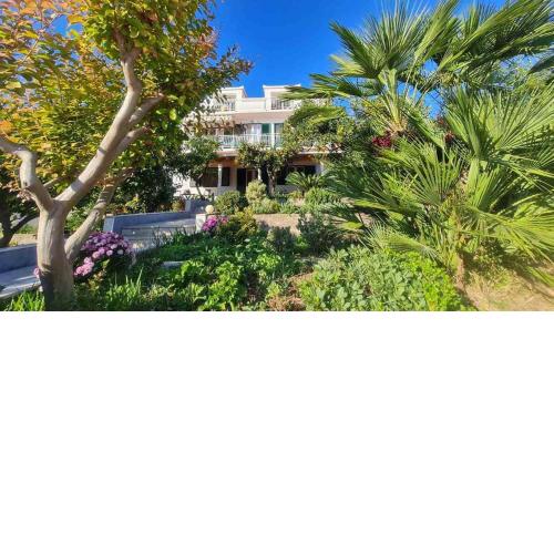 Apartment in Viganj with sea view, balcony, air conditioning, Wi-Fi (3870-3)